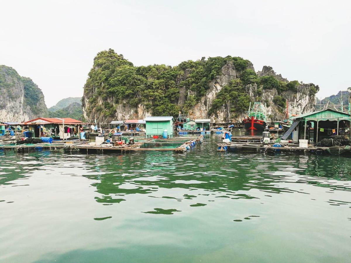 Heritage Line Ylang Cruise - Halong Bay & Lan Ha Bay Hạ Long-öböl Kültér fotó