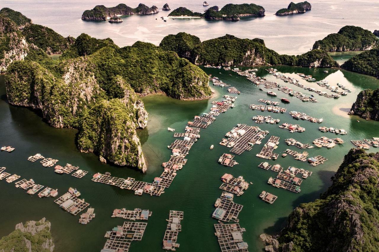 Heritage Line Ylang Cruise - Halong Bay & Lan Ha Bay Hạ Long-öböl Kültér fotó